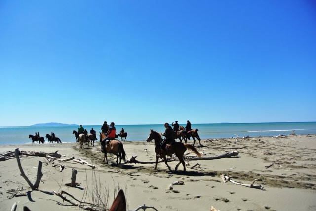  Park Maremma Cinnelle 