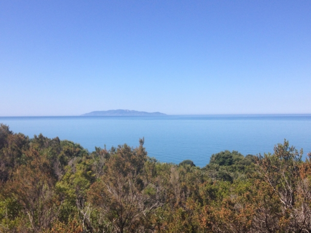  Maremma Sanrabano 