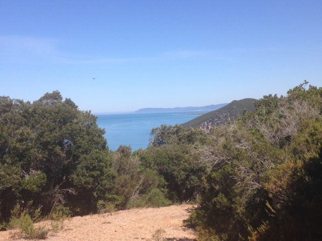  Maremma Sanrabano 