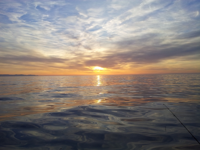 battute di pesca nel mar ligure
