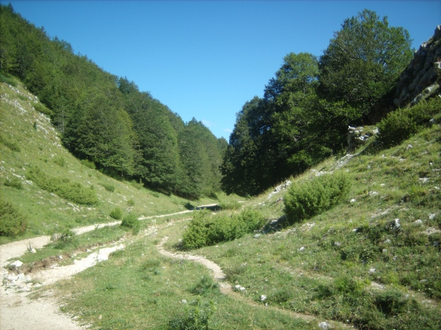 El hermoso escenario natural que nos rodea 