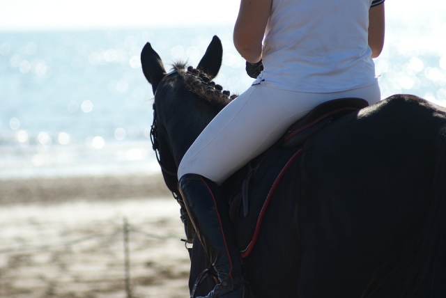  Equalizing horse 