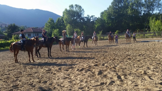  Horses and ranch 