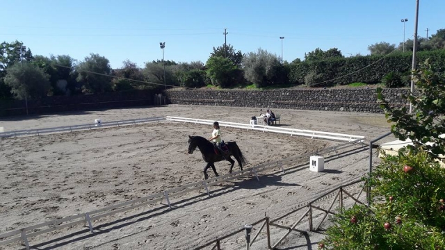  El campo al aire libre 