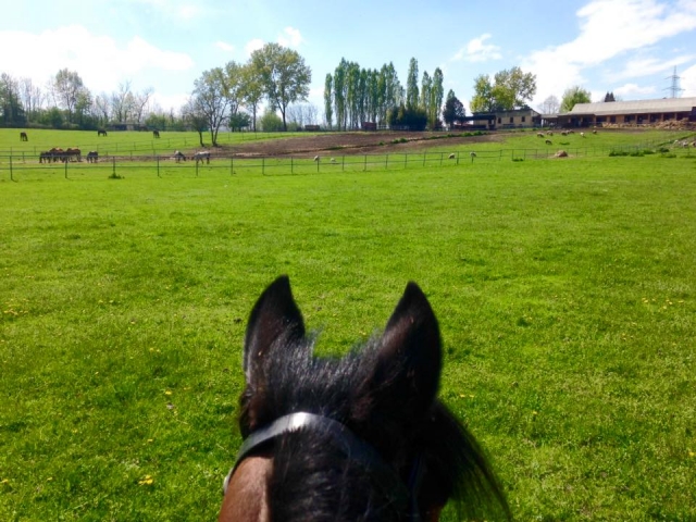 Passeggiata a cavallo
