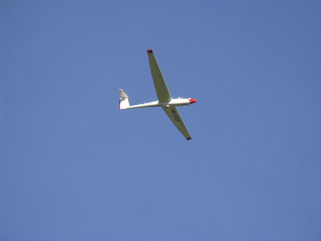  Volando en la libertad 