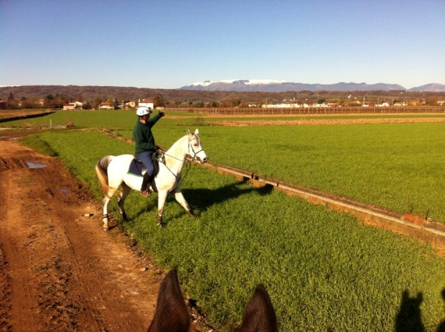 Passeggiate a cavallo nel trevigiano