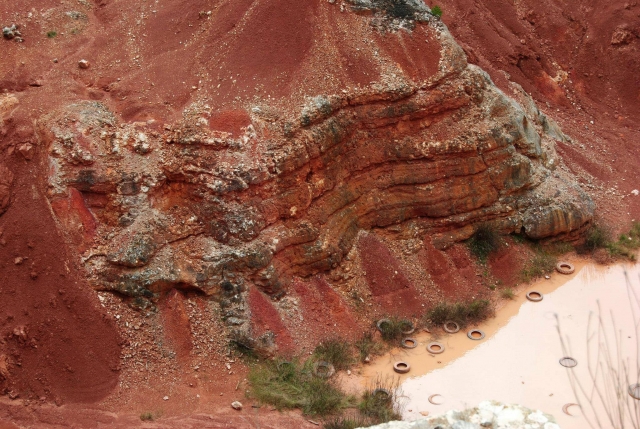 我们土地的美丽