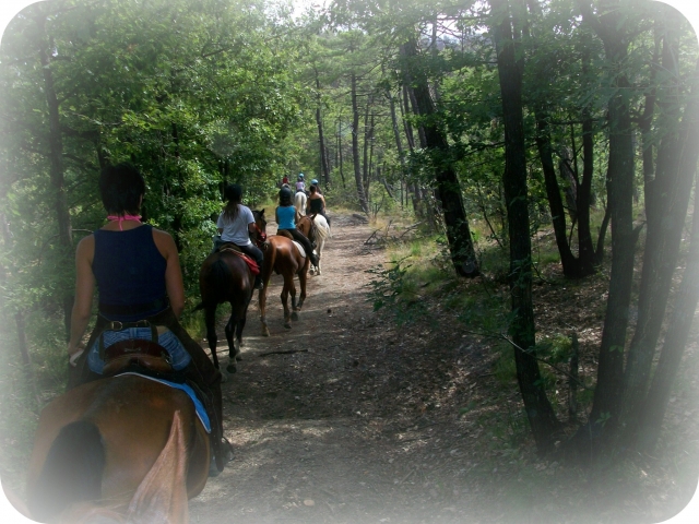  LOCO LOGO LEGO LE RONDINI 