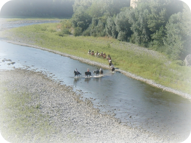  The Rondini -game Center 