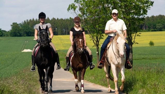  The Rondini -game Center 