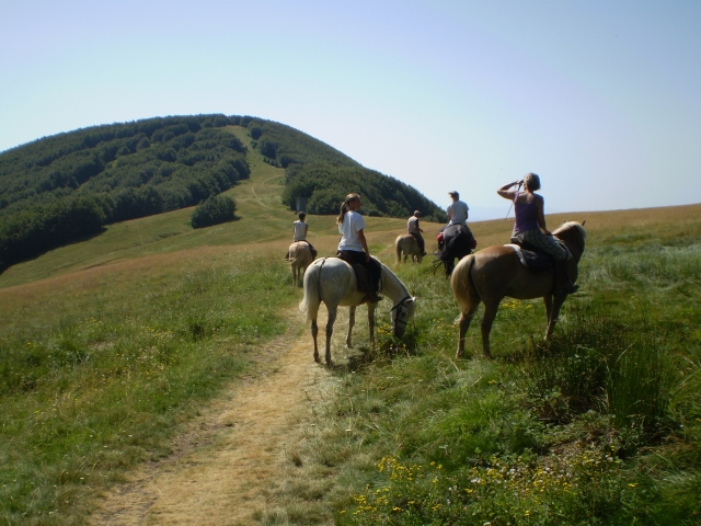  Viajes a caballo de 7 días 