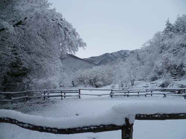  El manejo en invierno 