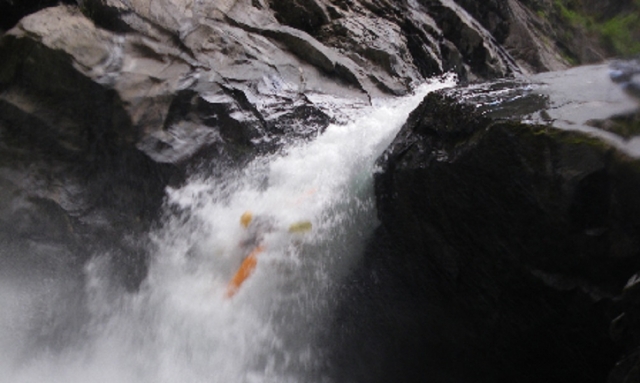  Camouflaged in the water 