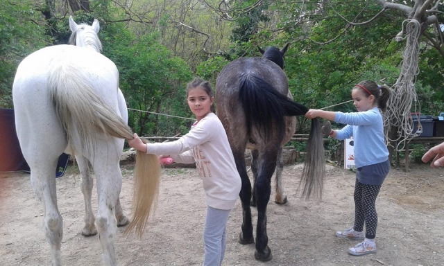 It's time for a nice combing