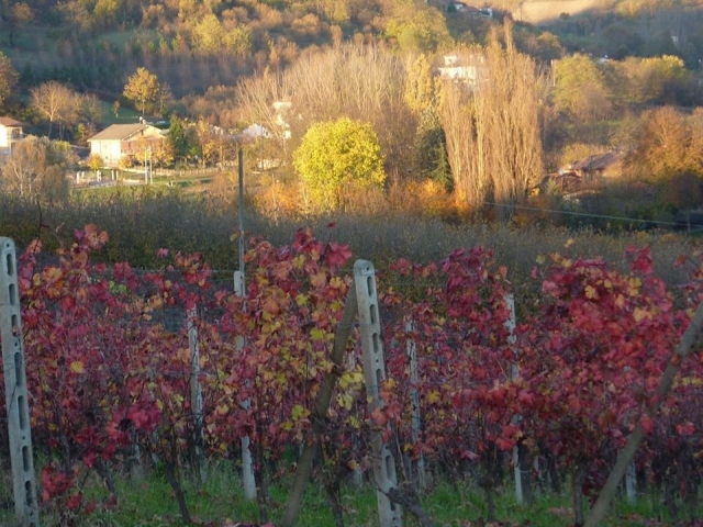  Nizza Monferrato and its colors