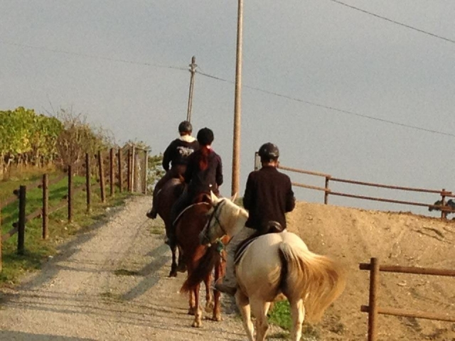  Monferrato on horseback 
