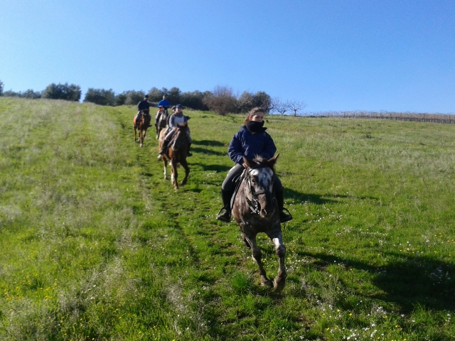 passeggiata con cavalli