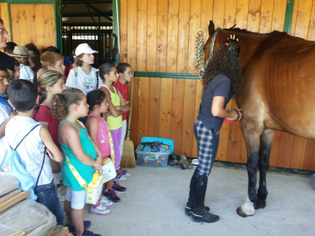 lezione didattica per scuole elementari