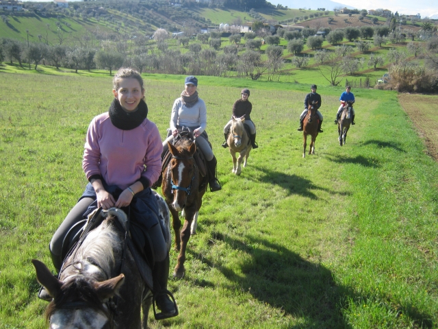 horses into the wild