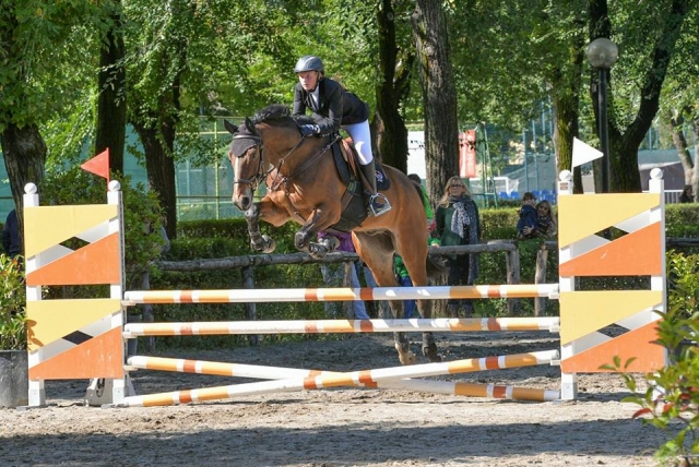  Horse riding competition 