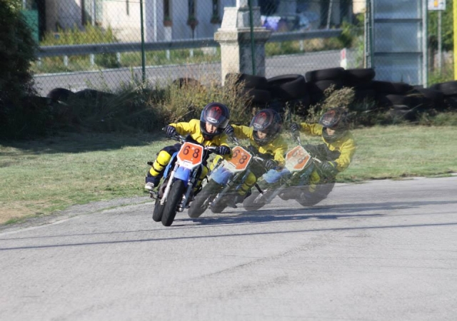 Giovani campioni
