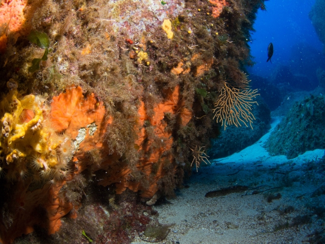  the shoals of the park 