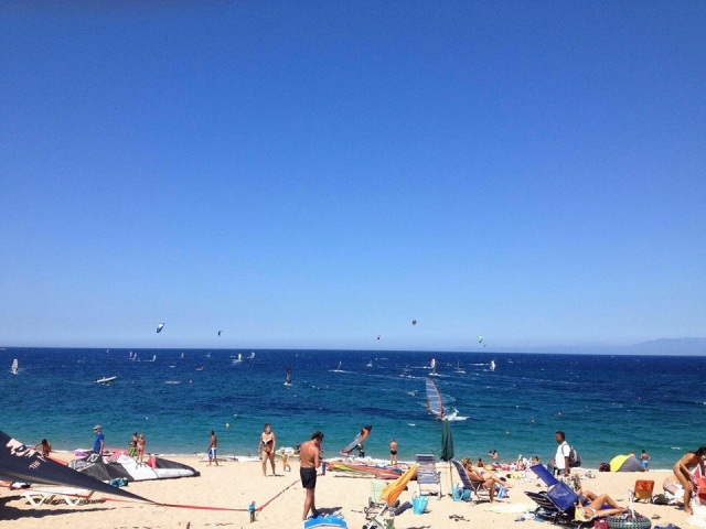  Lots of sails and lots of wind 