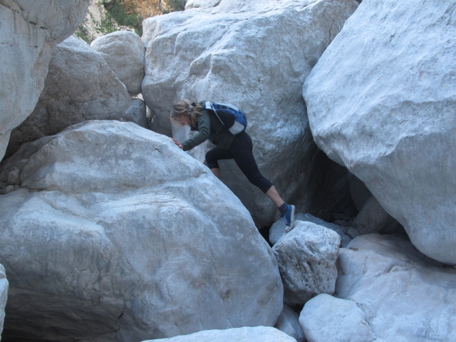  Trips and Trekking 