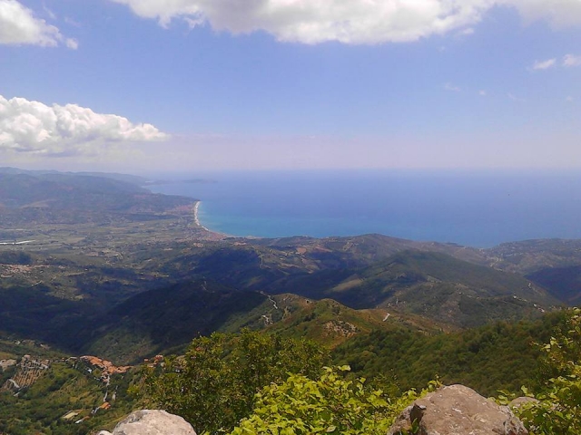 从上往下的海岸 