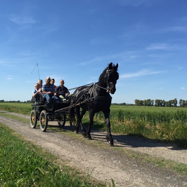 In carrozza