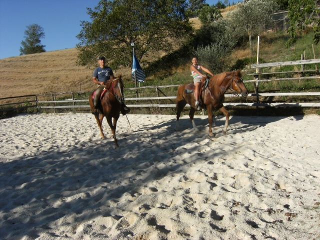 e-19717137-in-sella14888782594472.jpg