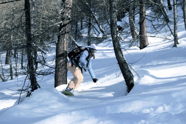 Esquiver les arbres 