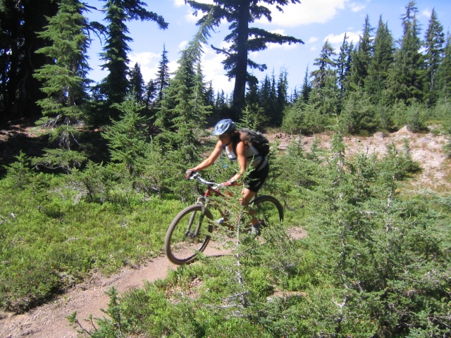  en el bosque con la bicicleta de montaña 