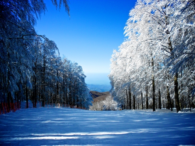  Monte 