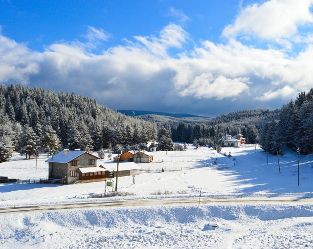  Paysage 
