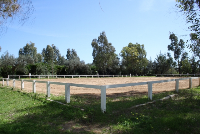 Campo intermedio