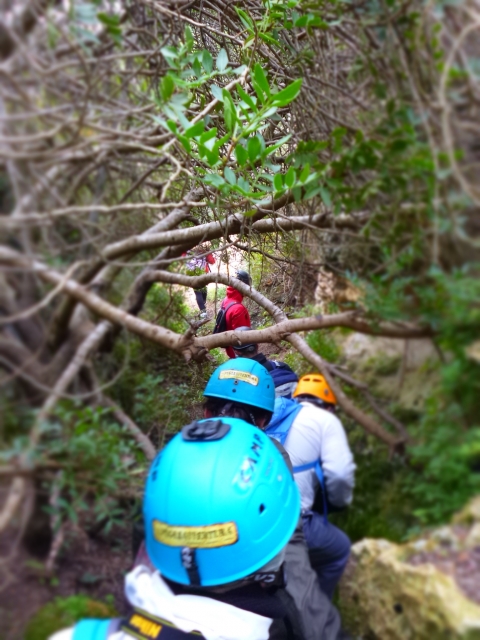 Excursion to Gravina