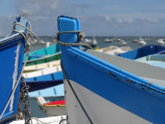 Traditional boats