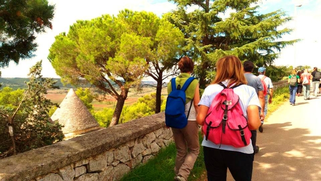  Excursion 