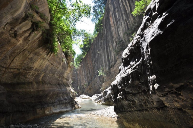  The canyon 