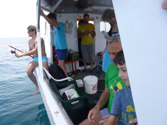  Fishing tourism 