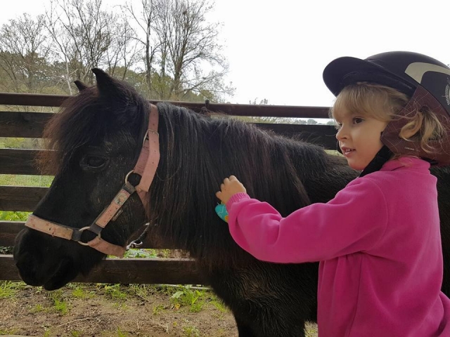 Piccola cavallerizza