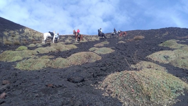 équitation sur l'Etna