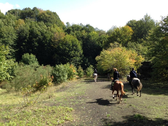 Chemins en pleine nature