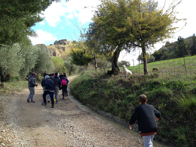 Jours d'huile et activités pédagogiques et culturelles
