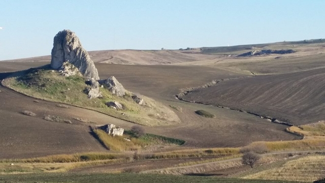 GEMINO PETRA LONGA