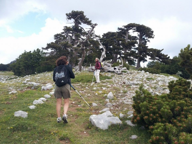 Trekking in the Pollino National Park