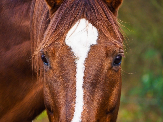  A close-up 