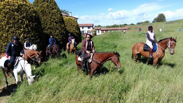  On horseback in the Mincio Park 